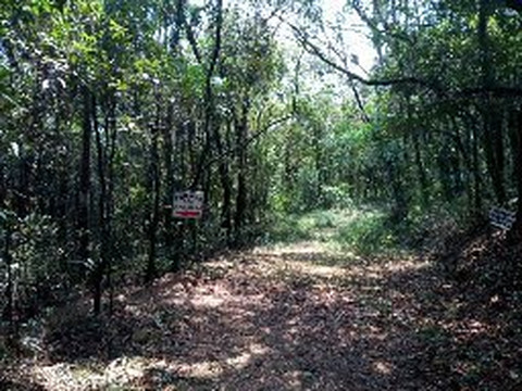 Pousada Ceu da Mantiqueira主图