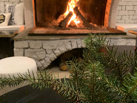 La Faune Butique Resort主图