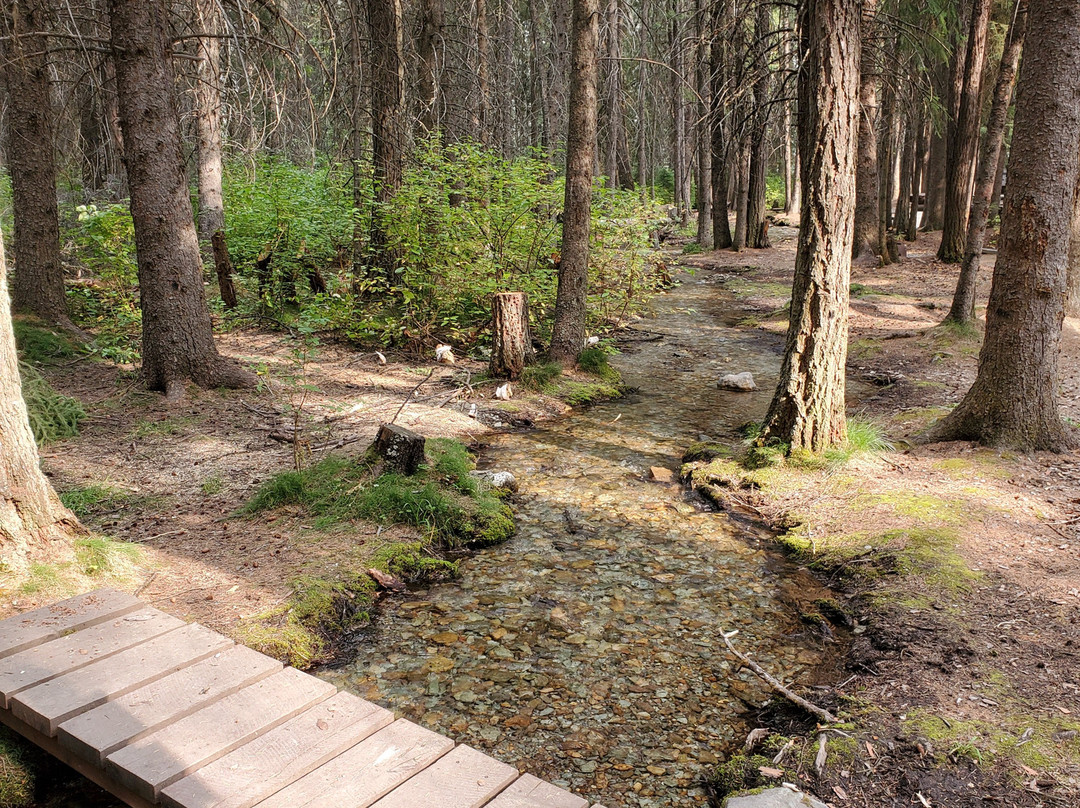 Whitetail Lake Recreation Site & Campground景点图片