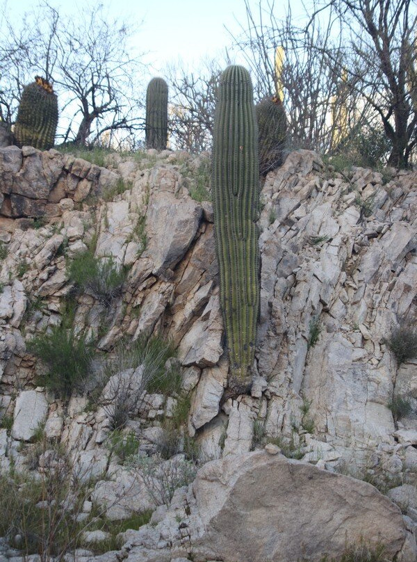 Honeybee Canyon Park-Oro Valley必去景点
