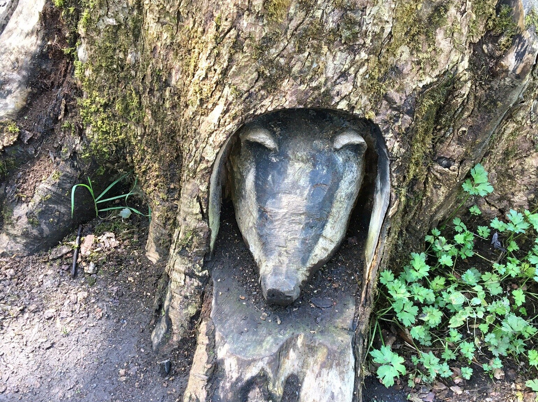 Fullarton Fairy Trail景点图片