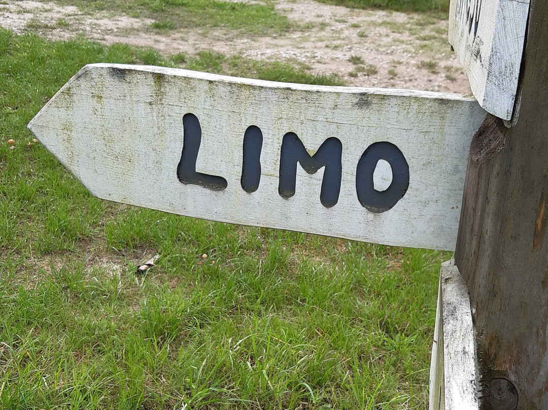 Limo Beach-Ruhnu必去景点