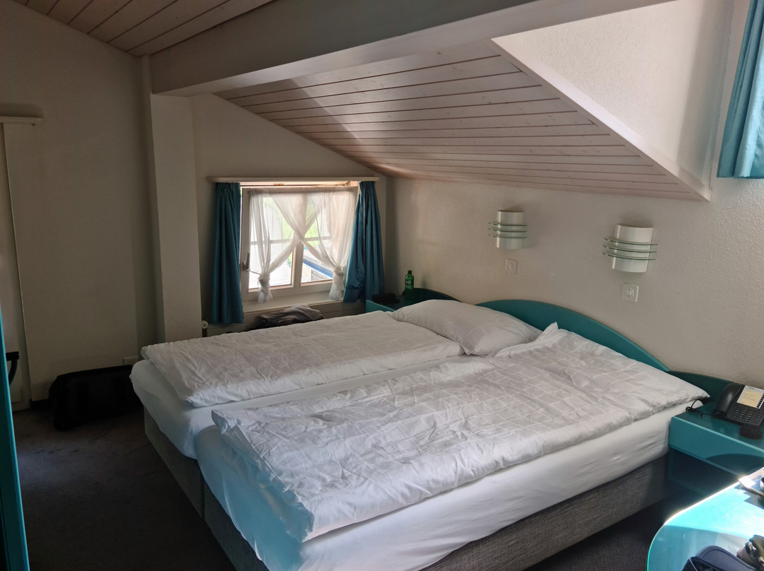 Hotel Chalet Du Lac主图