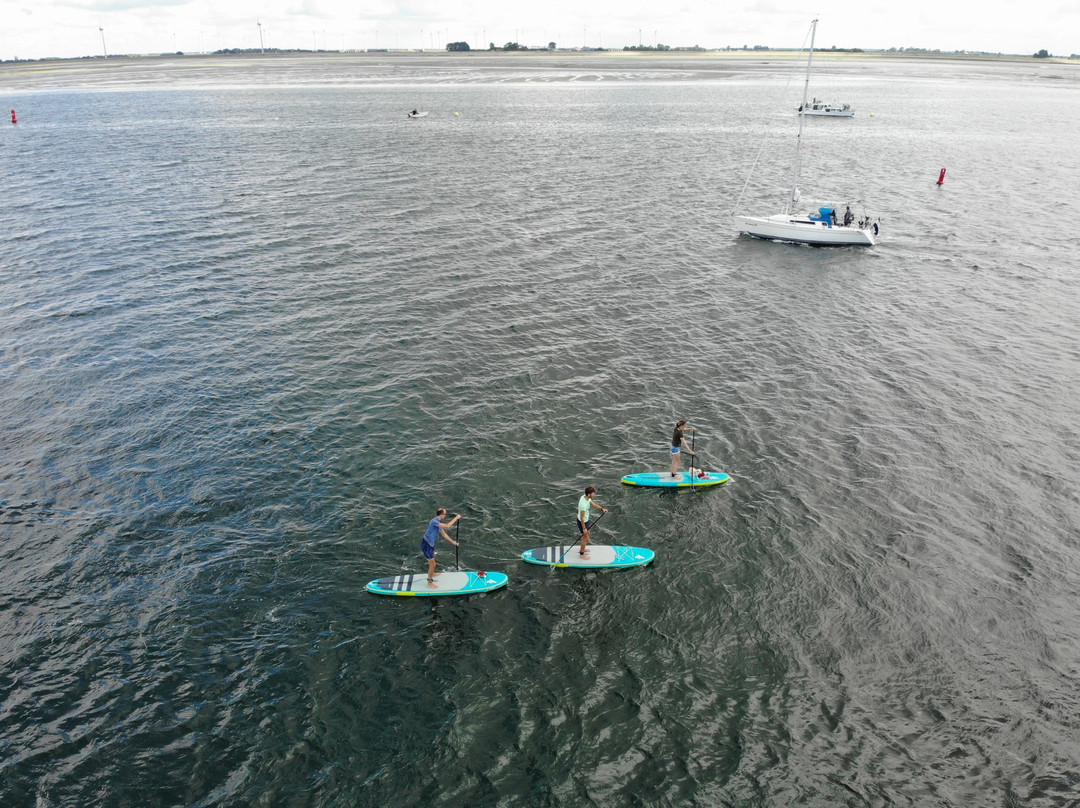 Catalina SUP-Tholen必去景点
