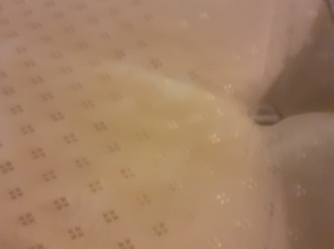 The White Horse Hotel主图