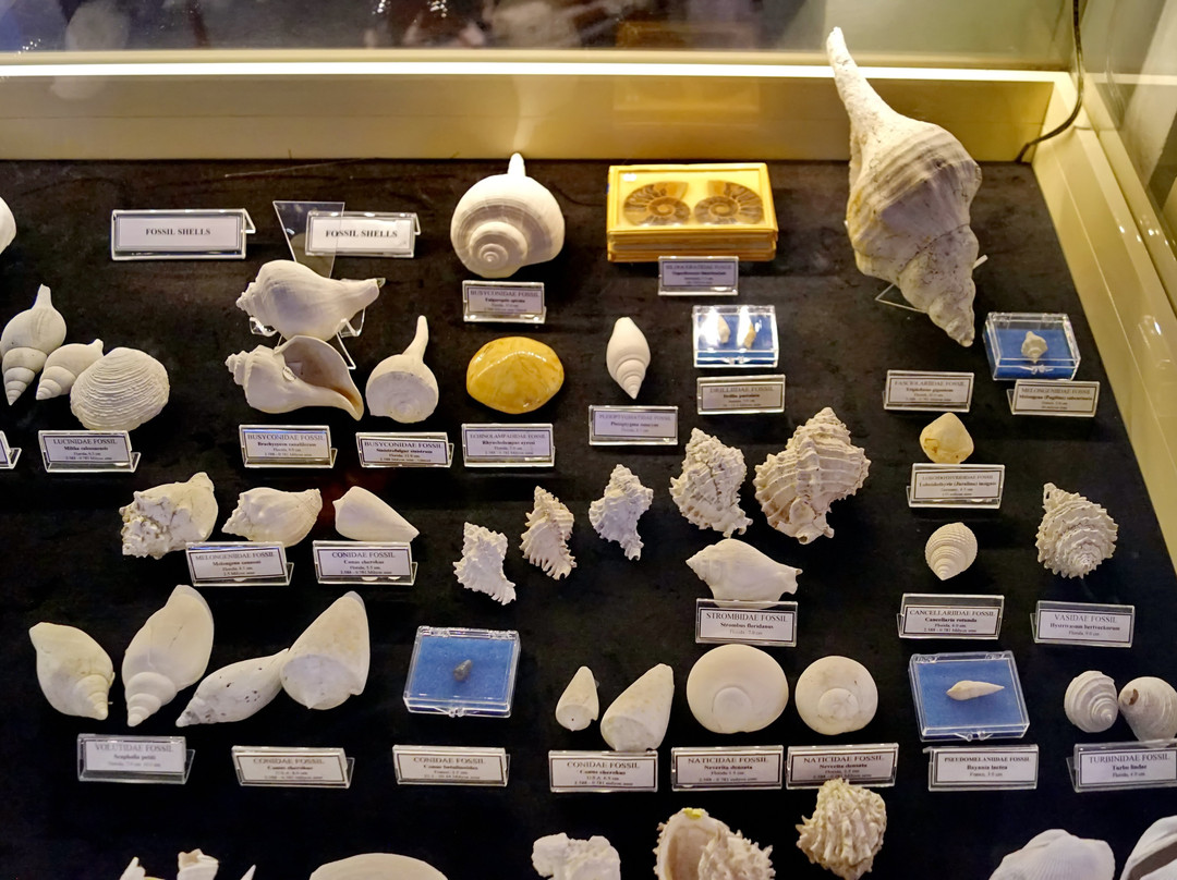 Bodrum Maritime Museum景点图片