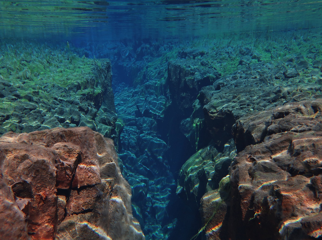 Dive Iceland - Diving and Snorkeling in Iceland - Day Tours景点图片