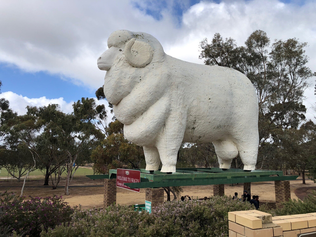 Giant Ram Park景点图片