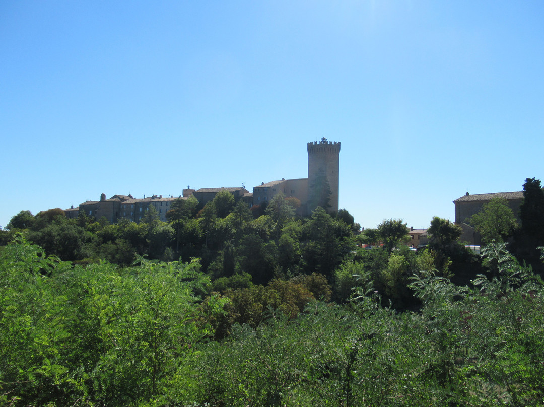 Il Castello景点图片