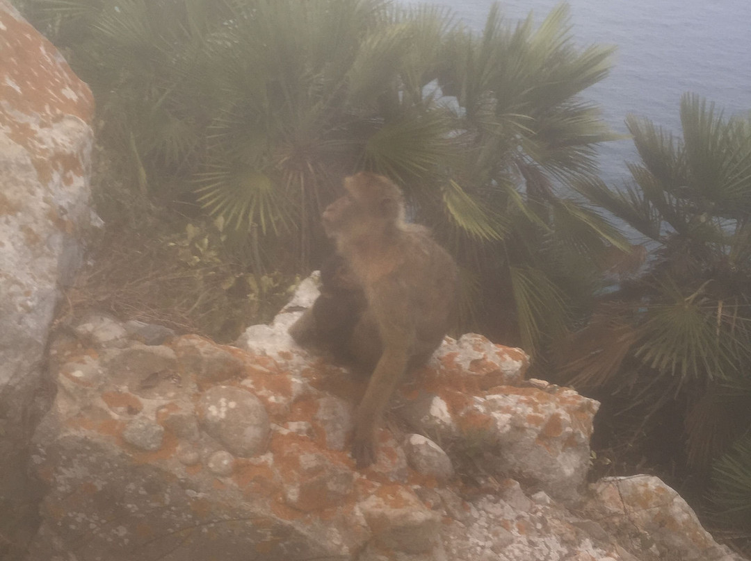 Walk the Rock 4 Free-Gibraltar Town必去景点