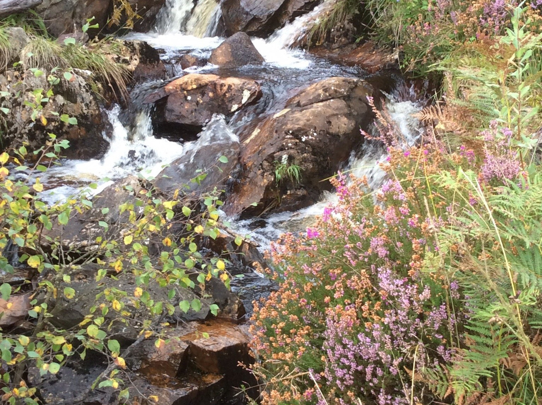 Galloway Forest Park-Galloway Forest Park必去景点