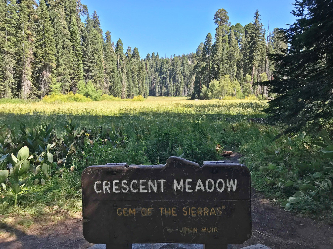 Crescent Meadow Loop-红杉&国王峡谷国家公园必去景点