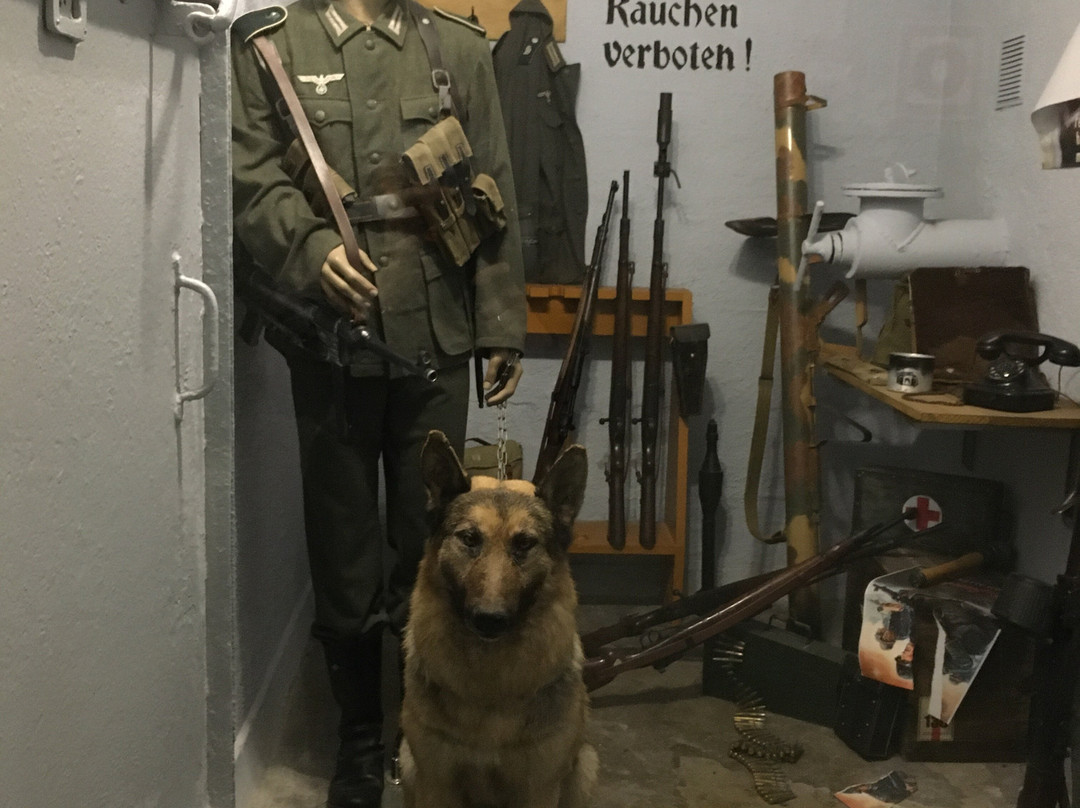 Bunker Museum景点图片