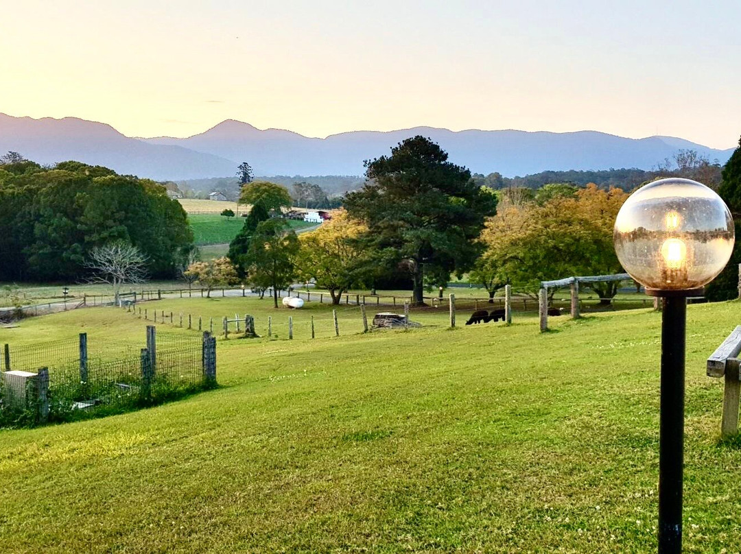 The Lodge Bellingen主图