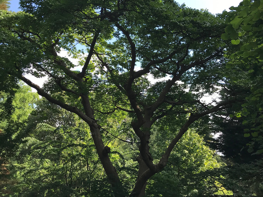 Botanic Gardens Kiel-基尔必去景点