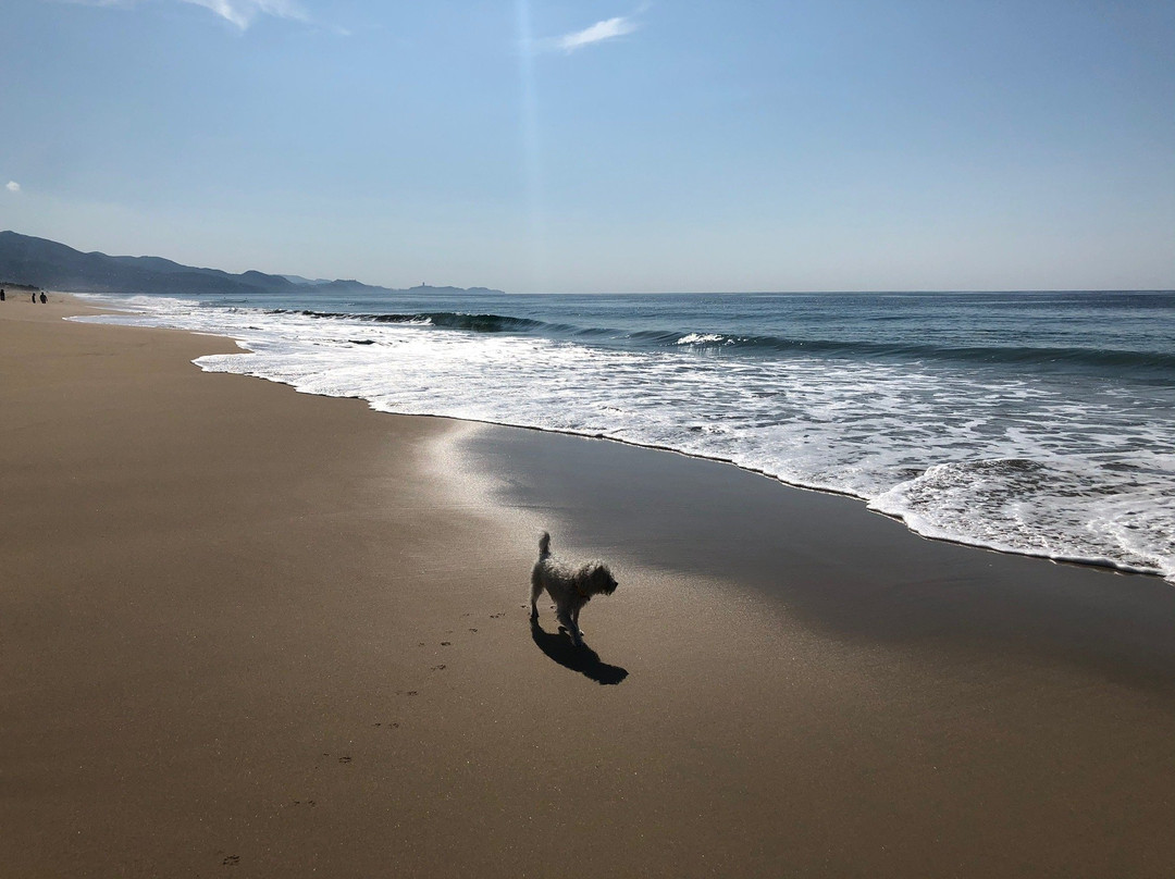 Barra de Coyuca-阿卡普尔科必去景点