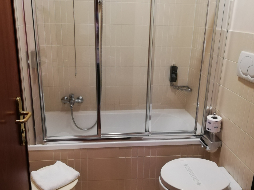 Best Western Hotel Ferrari主图