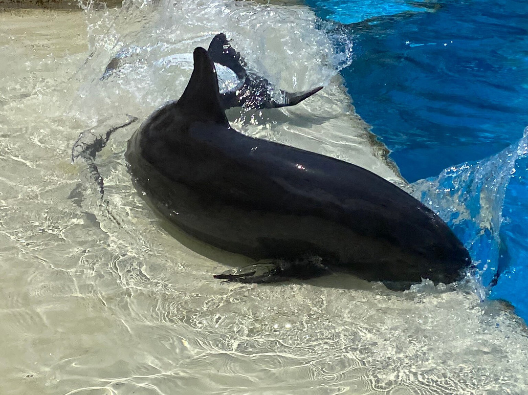 Barcelo Maya Palace主图