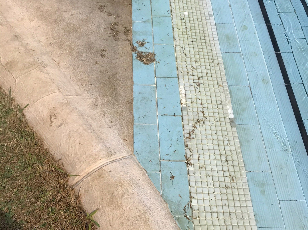Aparthotel Bahia Pinosol主图