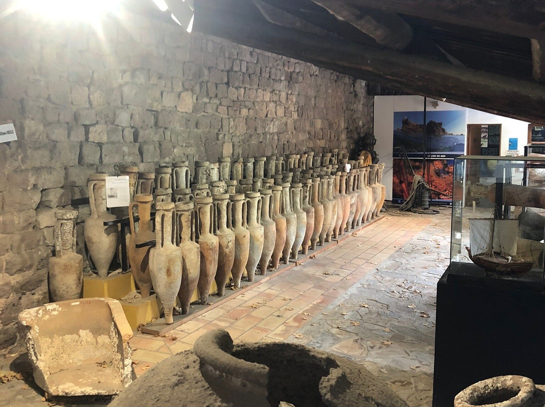 Musée Archéologique de Saint-Raphaël景点图片