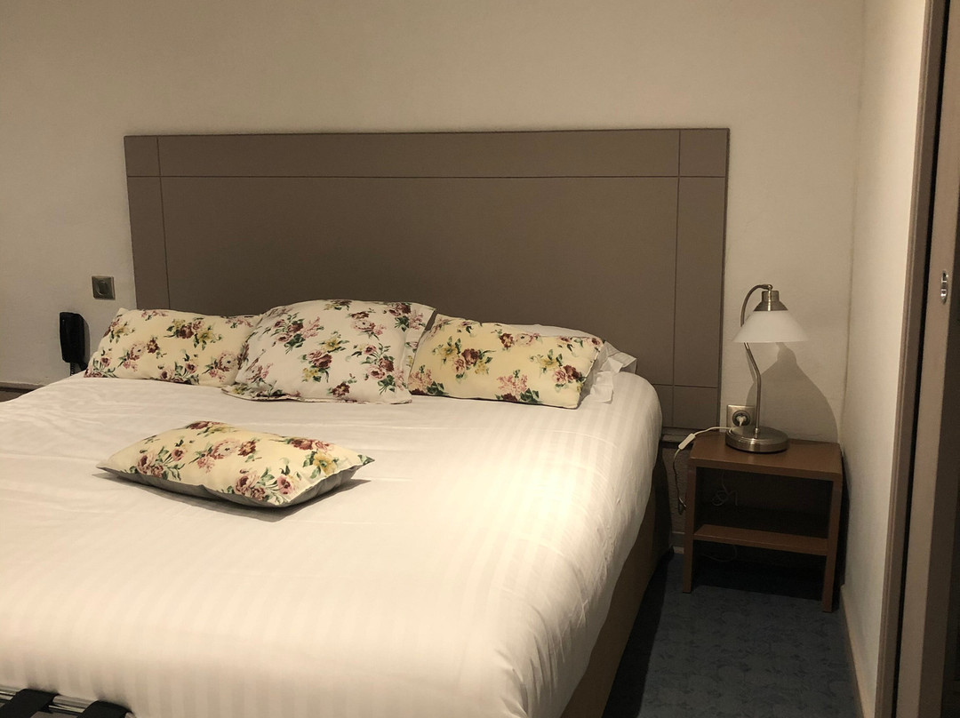 Hôtel De La Couronne ALBERT 1ER主图