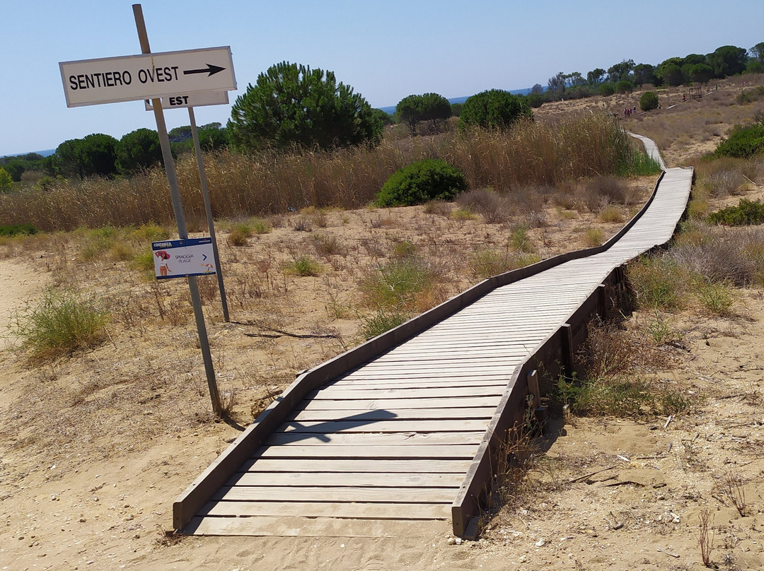 Riserva Naturale Orientata Foce del Fiume Belice e Dune Limitrofe-Castelvetrano必去景点
