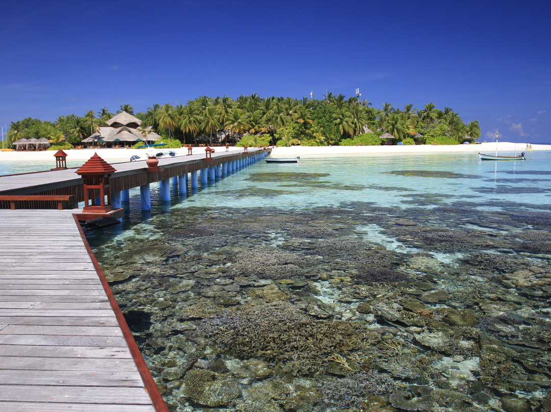 马尔代夫悦榕度假村主图