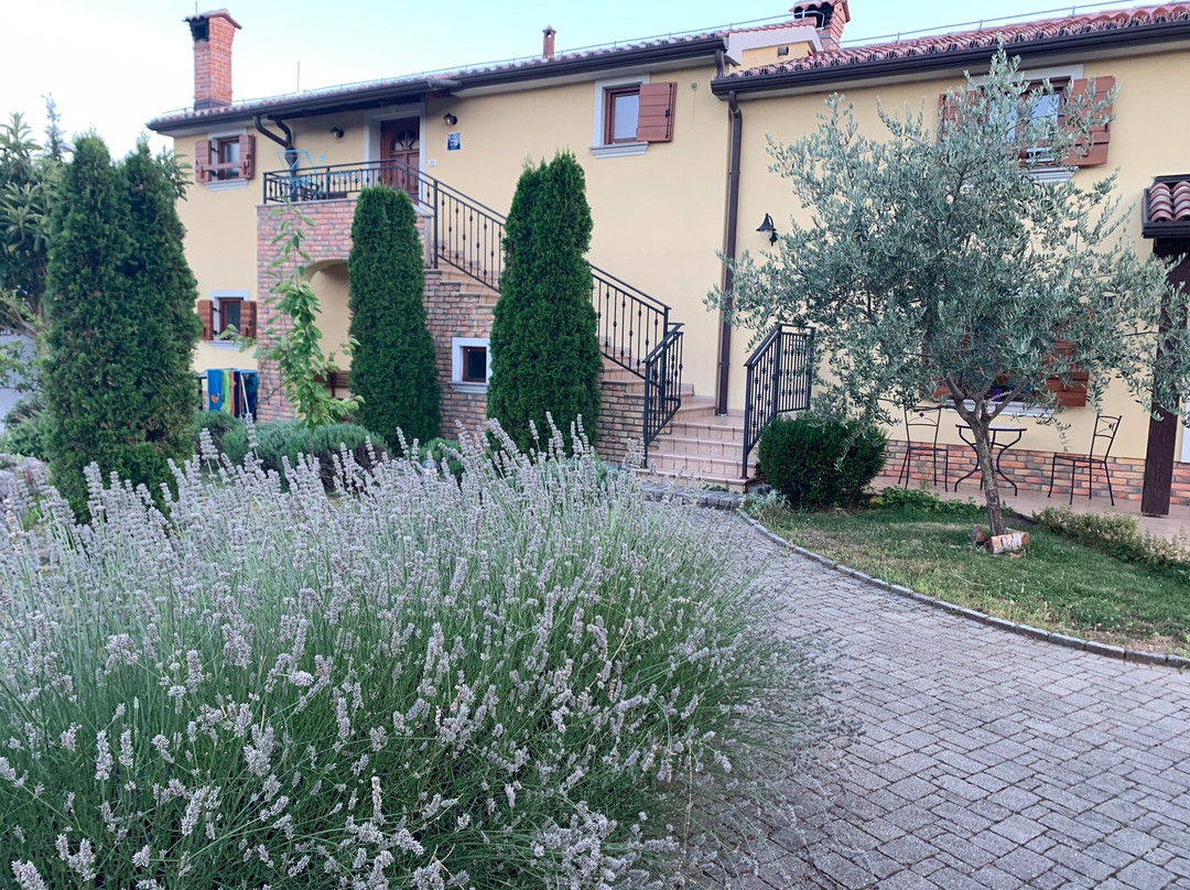 Stancija Kovačići主图