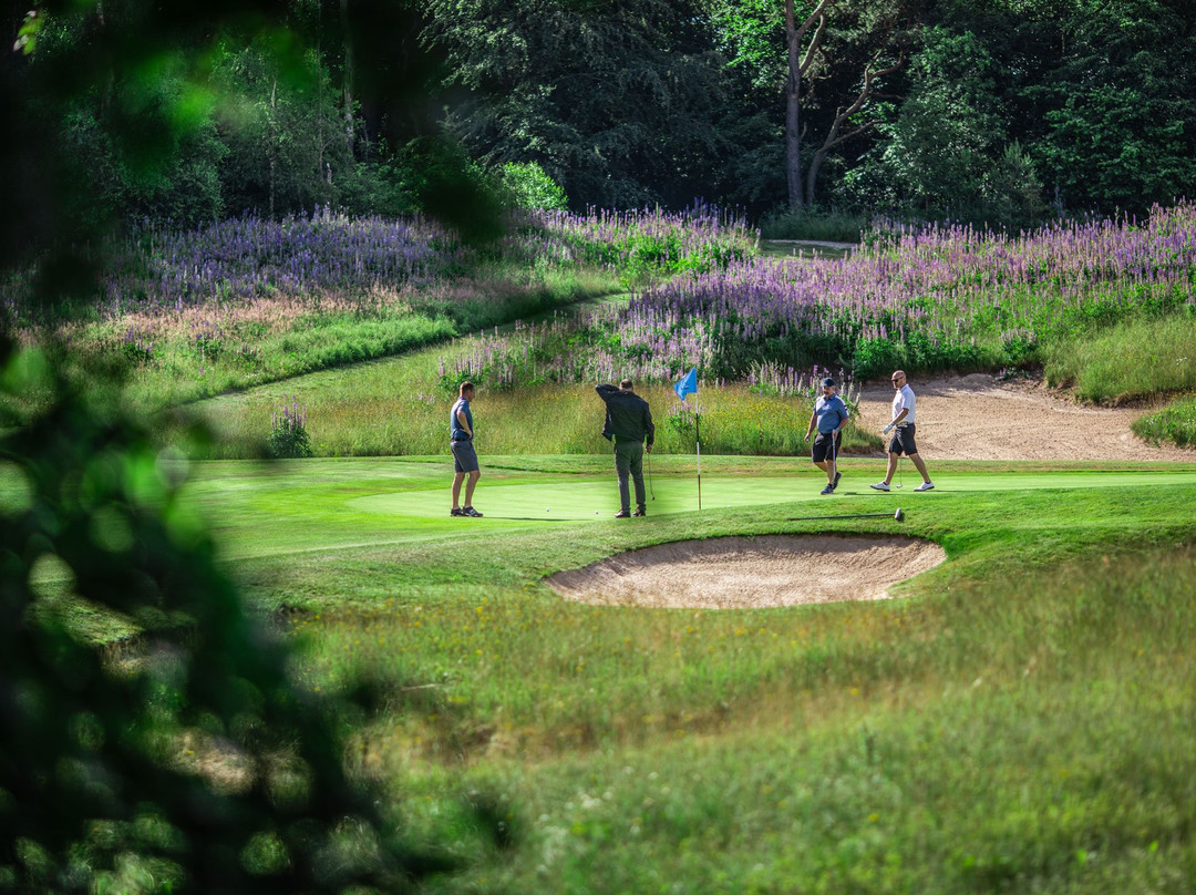 Lübker Golf & Spa Resort主图