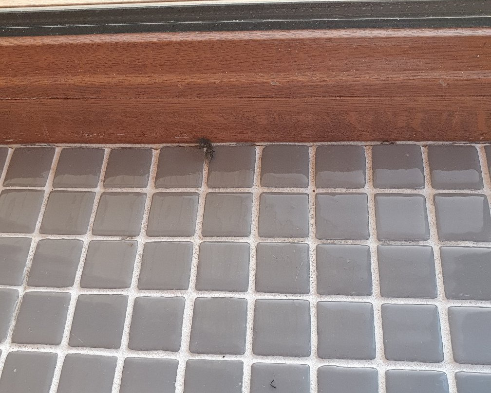 Hotel Lesnaya Skazka主图