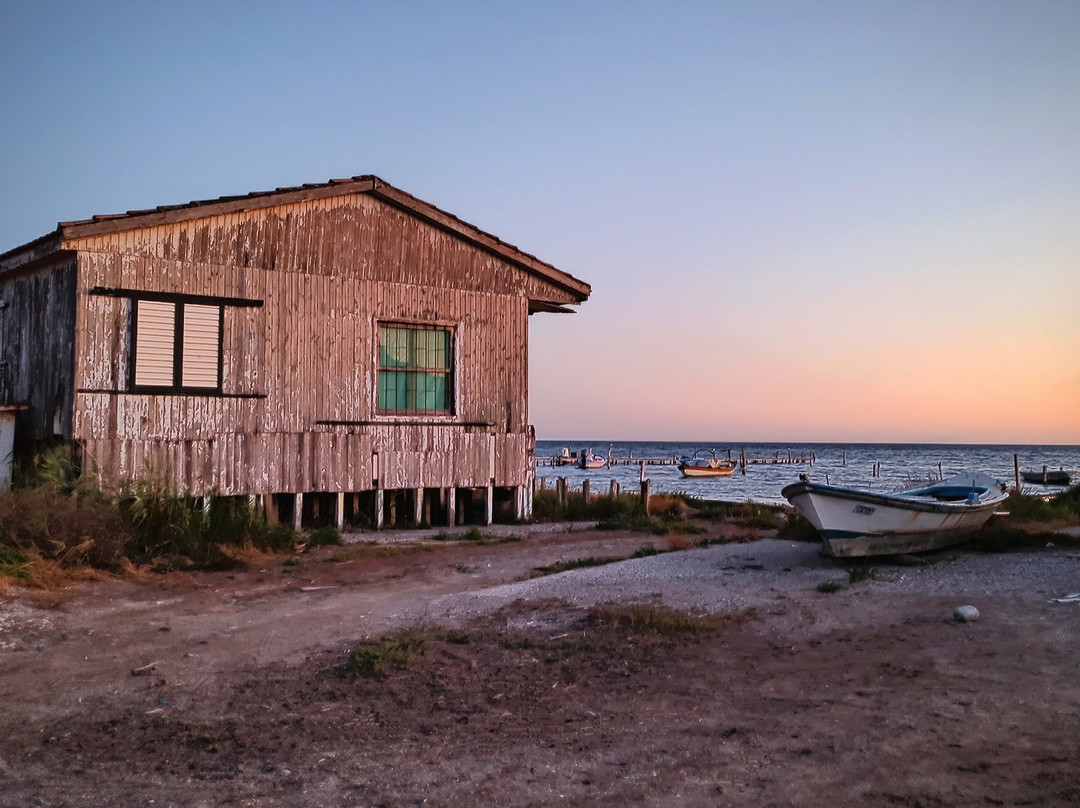 Pezedromos - Podilatodromos Megologiou-Mesolongion必去景点