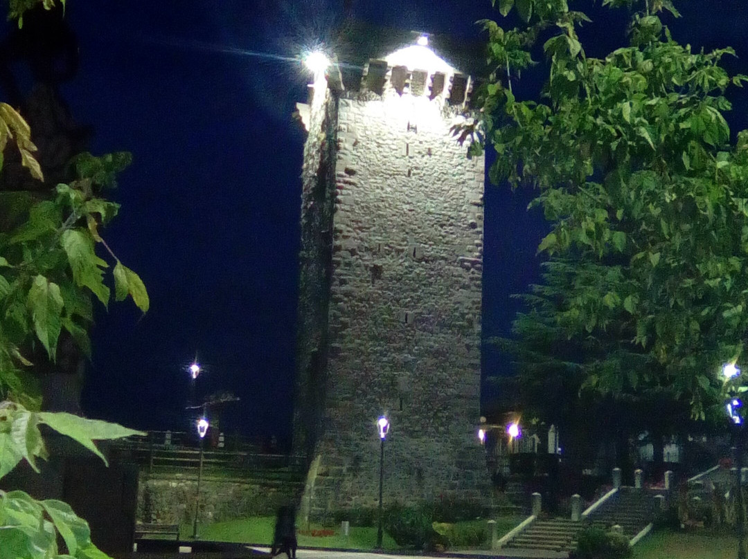 Torre Scaligera景点图片