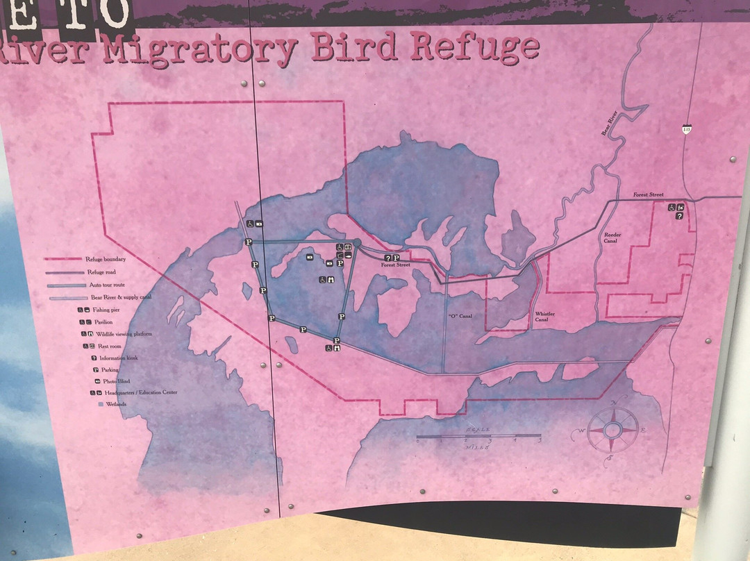 Bear River Migratory Bird Refuge景点图片