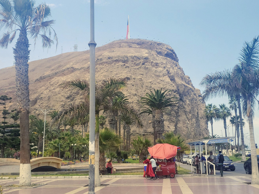 Vicuna Mackenna Park-阿里卡必去景点