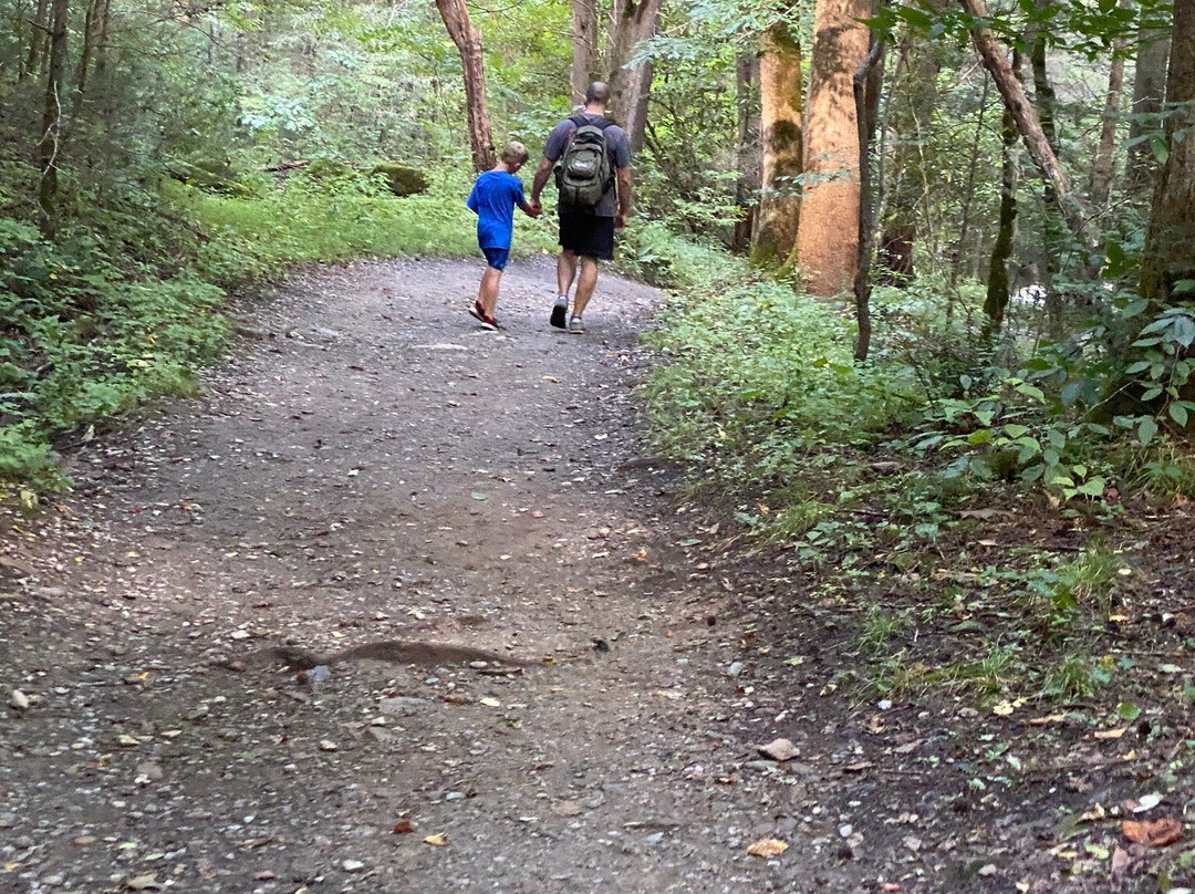 Midnight Hole Falls-大雾山国家公园必去景点