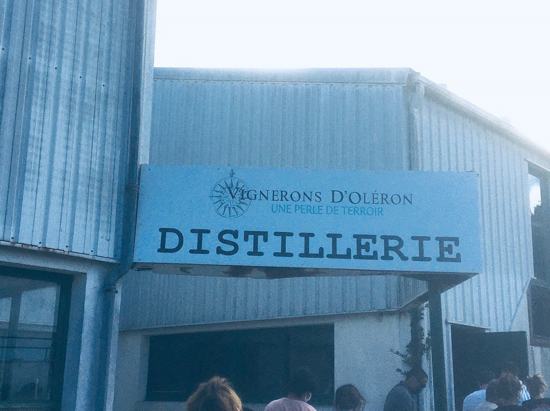 Distillerie景点图片
