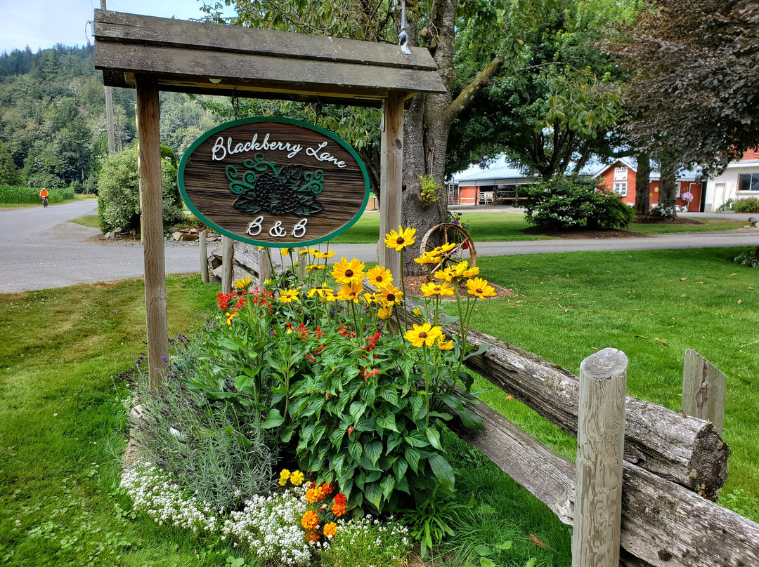 Blackberry Lane Bed and Breakfast主图