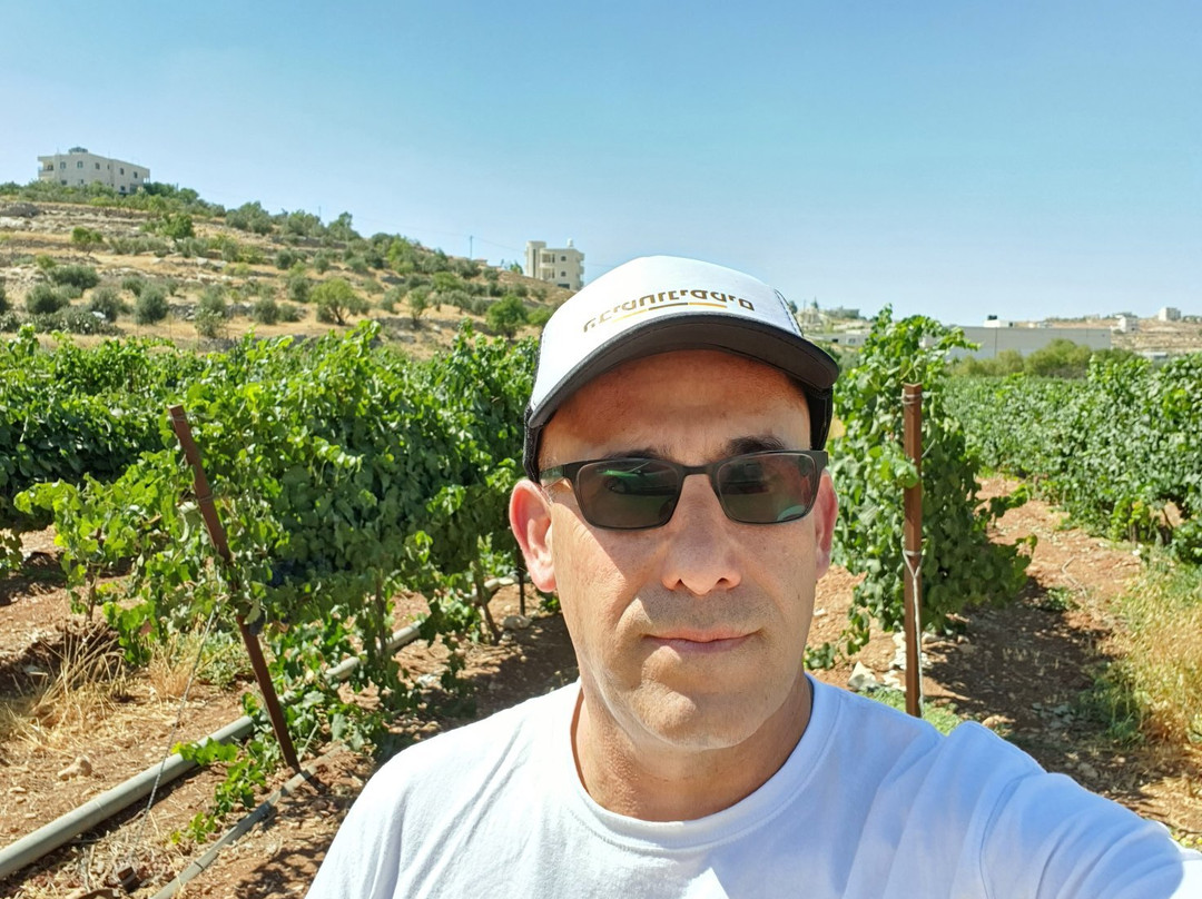 La Foret Blanche Winery-Judaean Hills必去景点