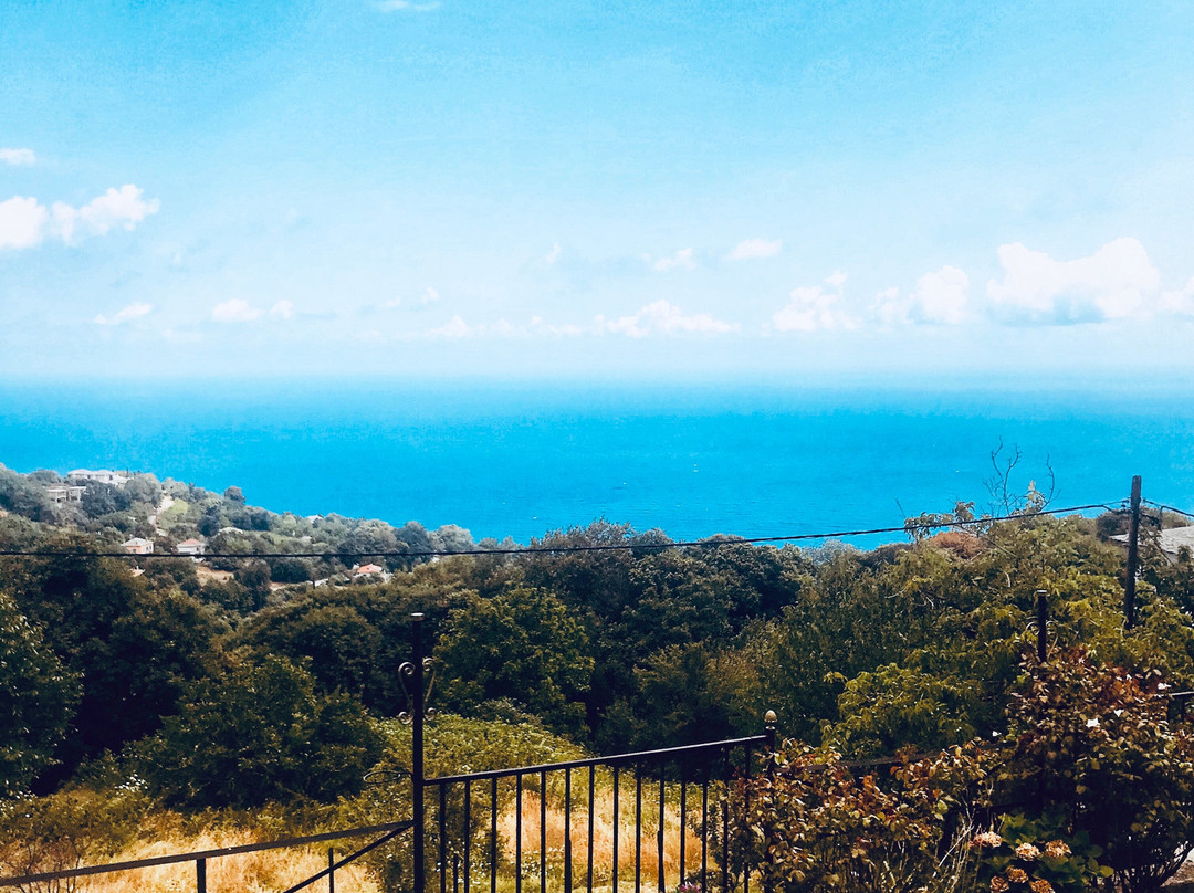 Diogenis Hotel主图