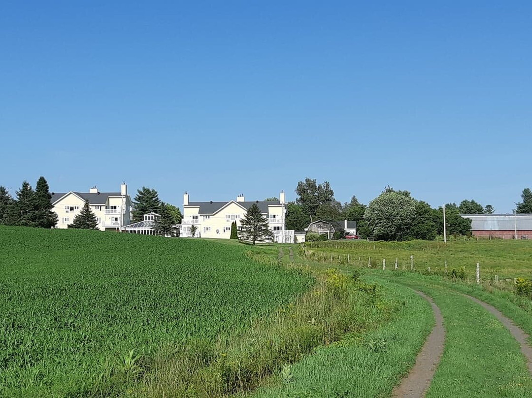 Auberge West Brome 050713主图