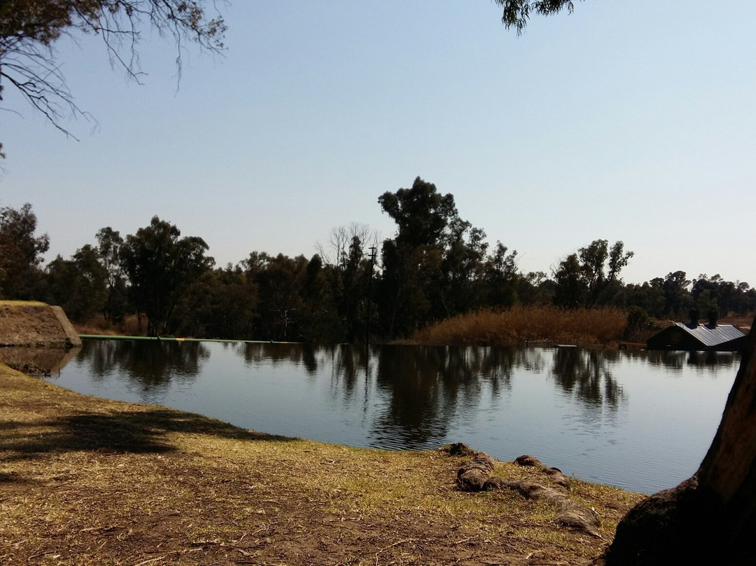 Modderfontein Reserve景点图片