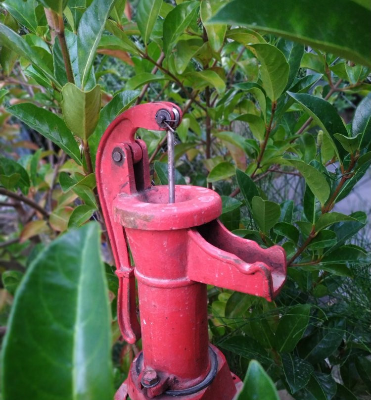 Elxis Luxury Resort主图