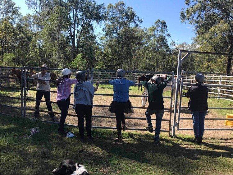 Curra Ridge Horse Rides-Curra必去景点