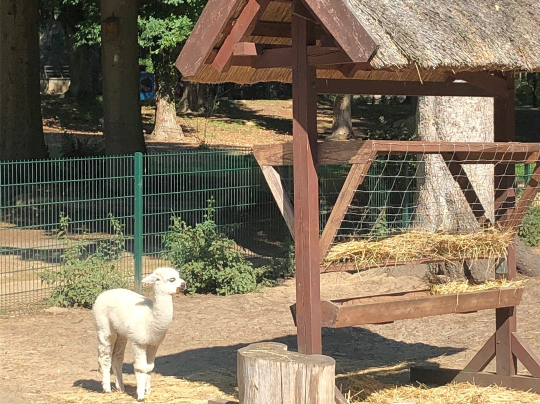 Tierpark Wolgast景点图片