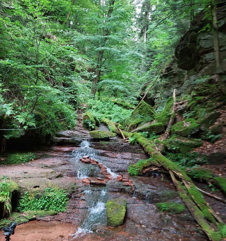 Wolfsschlucht-Zwingenberg必去景点