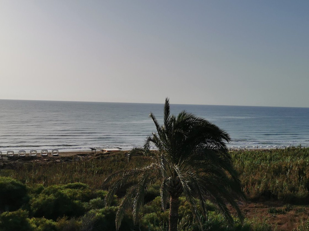 Guardamar Moncayo Beach景点图片