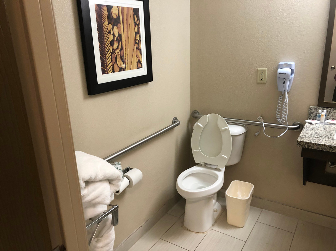 Comfort Inn Dunn Near I-95主图