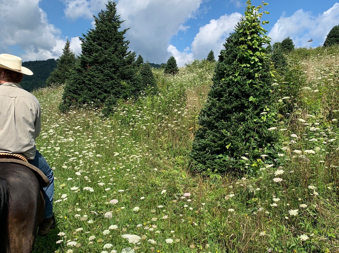 Elk Mountain Riding Company-Newland必去景点