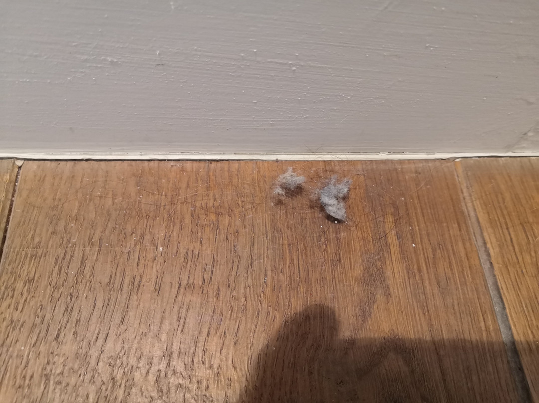 Novecamere Resort Sirolo主图