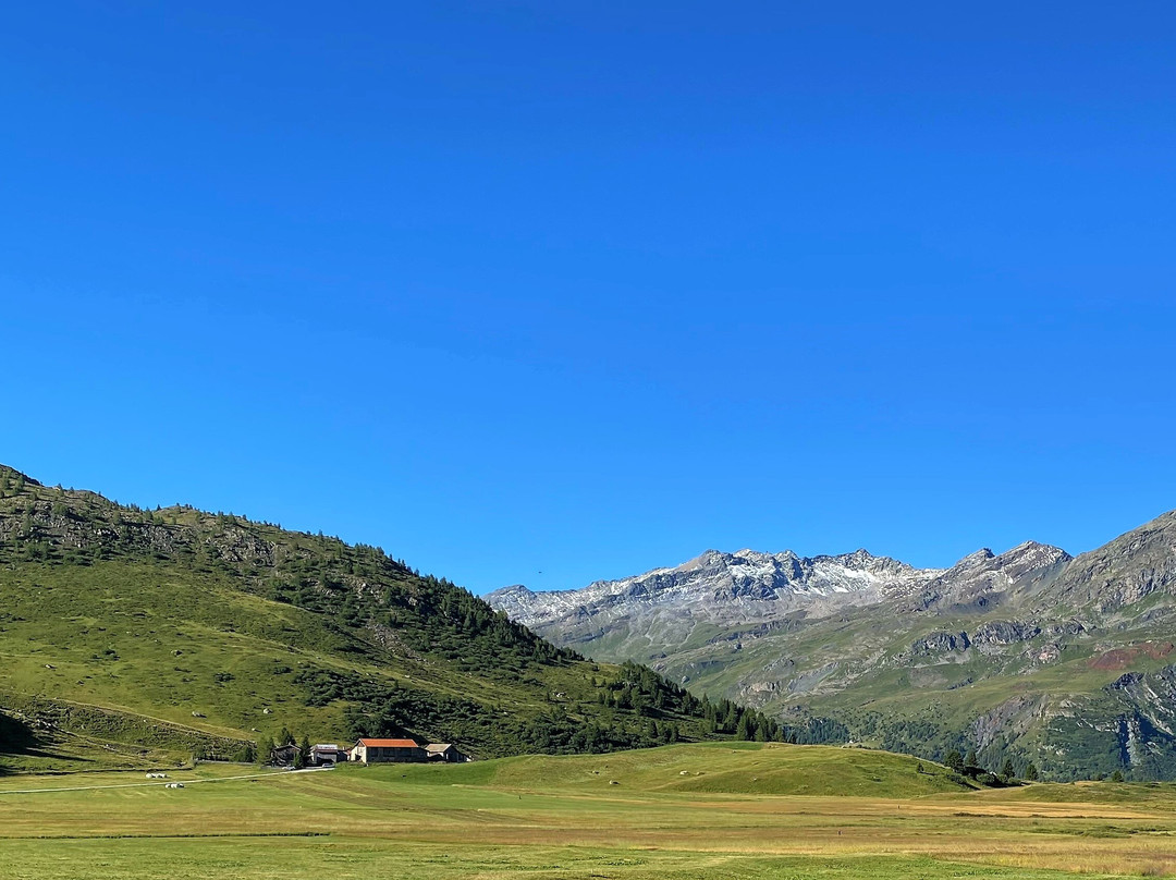 Hotel Piz Platta主图